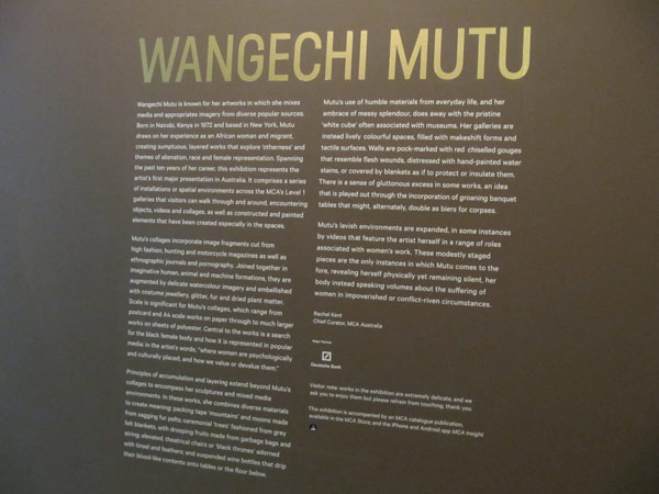 wangechi-mutu-.jpg